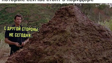 Photo of Интернет в миниатюре — смешные мемы | Bugaga