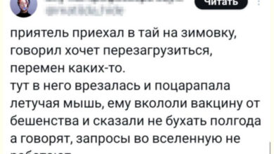 Photo of Набор для поднятия настроения — мемы | Bugaga