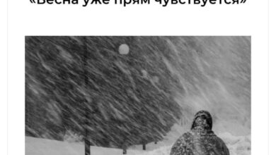 Photo of Архив случайного юмора — смешные мемы | Bugaga