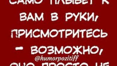 Photo of Мемный калейдоскоп — смех на любой вкус | Bugaga