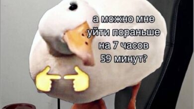 Photo of Эхо потерянных мыслей — мемы | Bugaga
