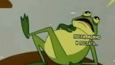 Photo of Поток абсурда и веселья — смешные мемы | Bugaga