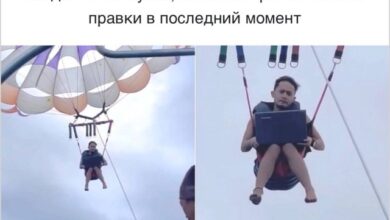 Photo of Параллельная реальность в картинках — мемы | Bugaga