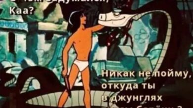 Photo of Смешная галактика — мемы для любого настроения | Bugaga