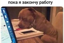 Photo of Мемы, Которые Пишут Историю — Bugaga