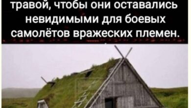 Photo of Абсурдный Коктейль из Реальности — смешные фото/мемы/приколы | Bugaga
