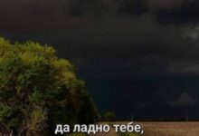Photo of Кот в Мешке Мемов — сюрприз для ваших глаз | Bugaga