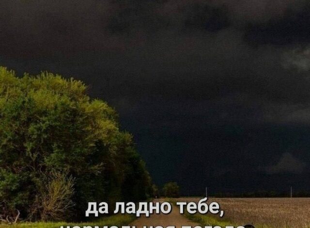 Photo of Кот в Мешке Мемов — сюрприз для ваших глаз | Bugaga