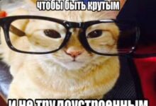 Photo of Мемы из Параллельной Вселенной — Bugaga