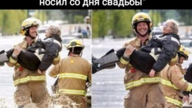 Photo of Абсурд Высшей Пробы — элитные мемы | Bugaga