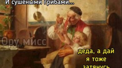 Photo of Открыли, посмотрели, зависли — приколы | Bugaga