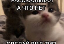 Photo of Дно Пробито — самые жёсткие мемы | Bugaga