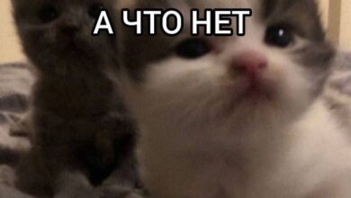 Photo of Дно Пробито — самые жёсткие мемы | Bugaga