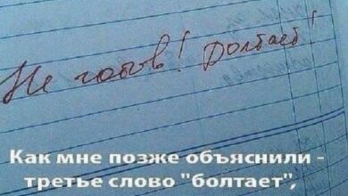 Photo of Ни рыба ни мем — а вот так — смешные фото | Bugaga