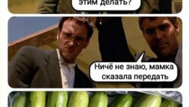 Photo of Зазеркалье для гиков и обычных пассажиров — мемы | Bugaga