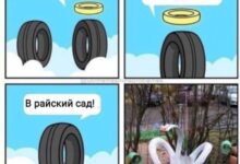 Photo of Когда Даже Коты Смотрят С Осуждением — смешные фото/мемы/приколы | Bugaga
