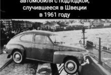 Photo of Эпический Фейл Коллекшн — смешные фото/мемы/приколы | Bugaga