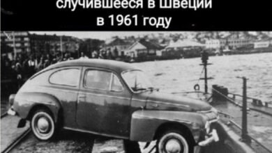 Photo of Эпический Фейл Коллекшн — смешные фото/мемы/приколы | Bugaga