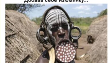 Photo of Свиток древнего мемолога — мемы | Bugaga