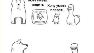 Photo of Хаотично