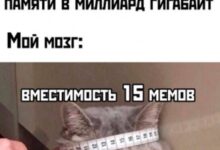 Photo of Мемный винегрет: всего по чуть