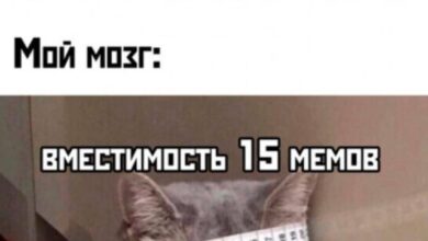 Photo of Мемный винегрет: всего по чуть