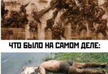 Photo of Мемы из параллельной вселенной, где всё пошло не так — Bugaga