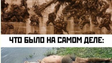 Photo of Мемы из параллельной вселенной, где всё пошло не так — Bugaga