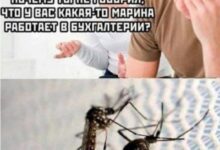 Photo of Сборник приколов для тех, кто забыл выключить утюг — мемы | Bugaga