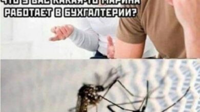 Photo of Сборник приколов для тех, кто забыл выключить утюг — мемы | Bugaga