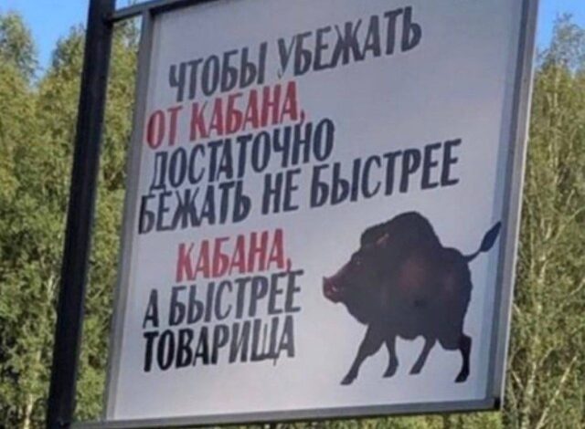 Photo of Солянка из мемов: от грустного гуся до теории заговора | Bugaga